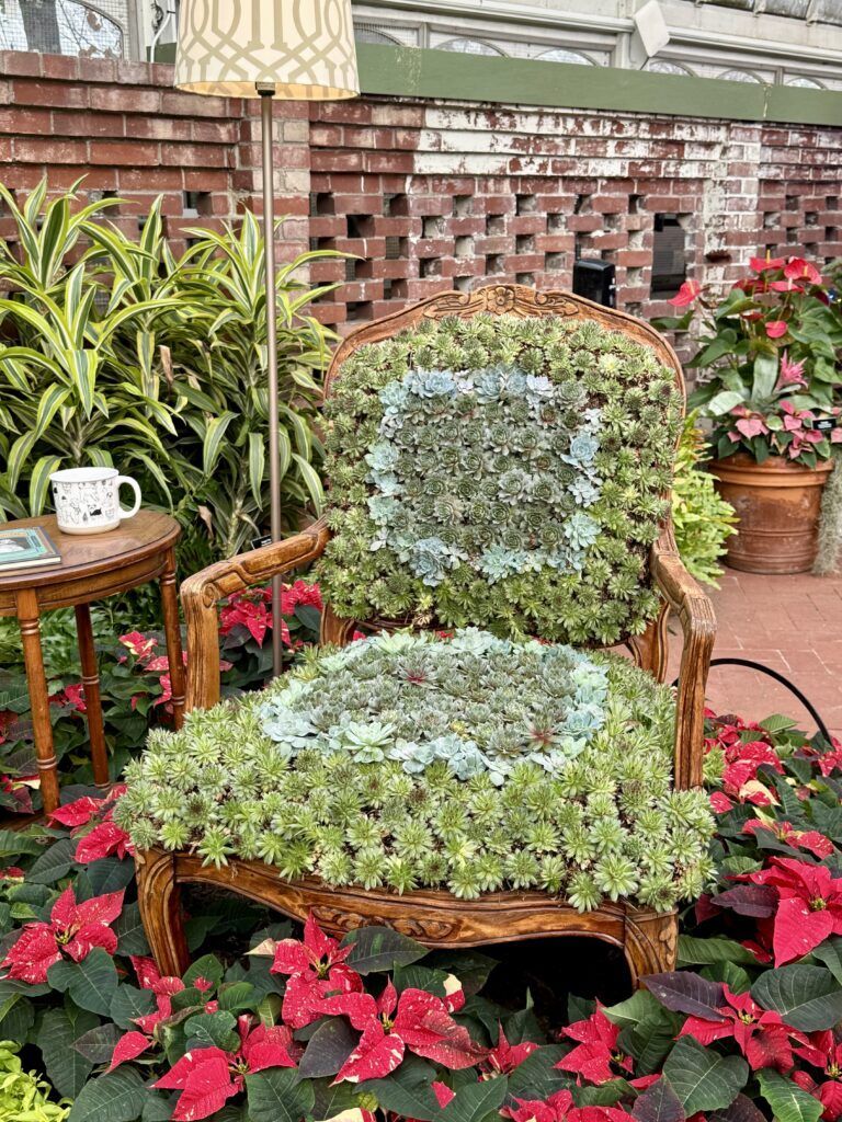a beautiful chair covered with succulents in the Desert Room