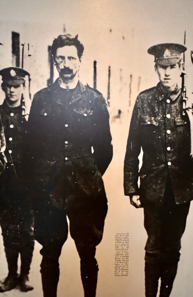Irish rebel
