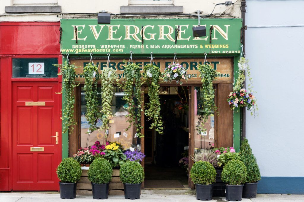 flower shop in Galway