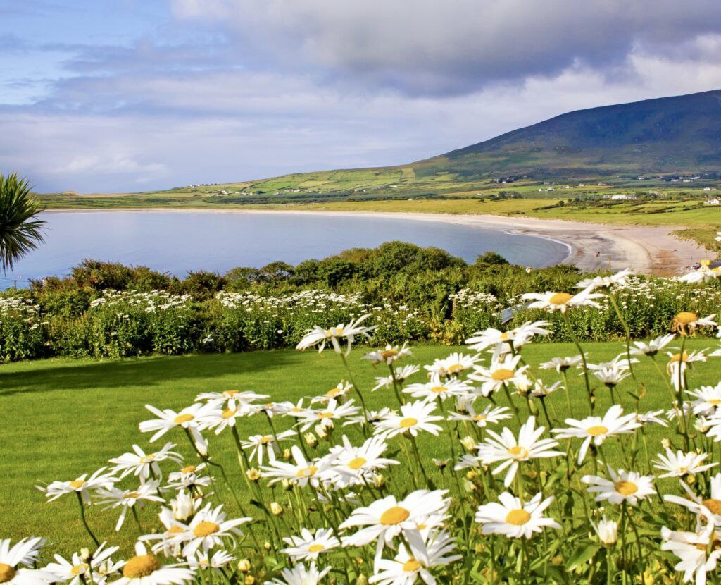 Ventry Beach
