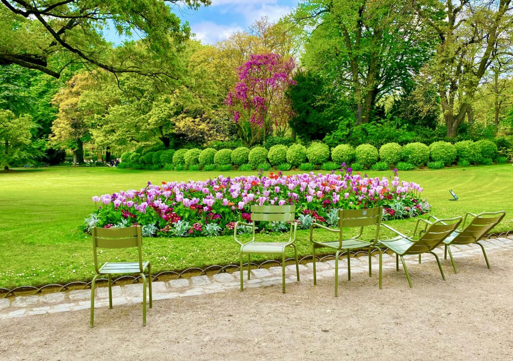 tulips in Luxembourg Gardens