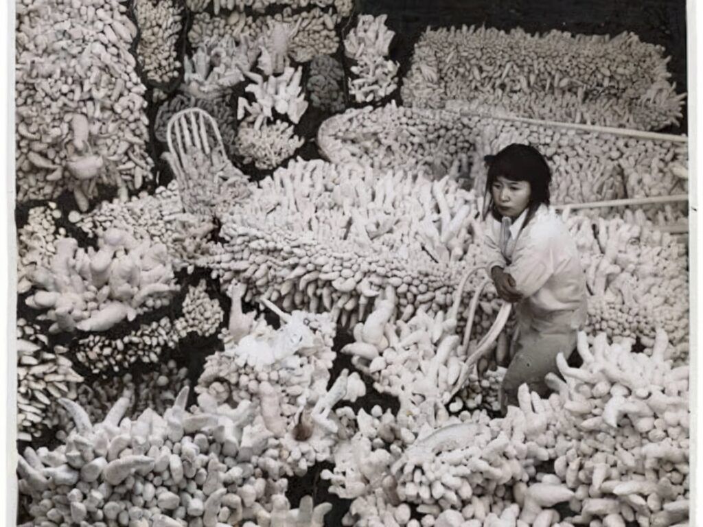 photograph of Kusama Kusama creating soft sculptures