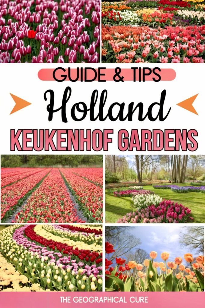 Pinterest pin graphic for guide to Keukenhof Gardens