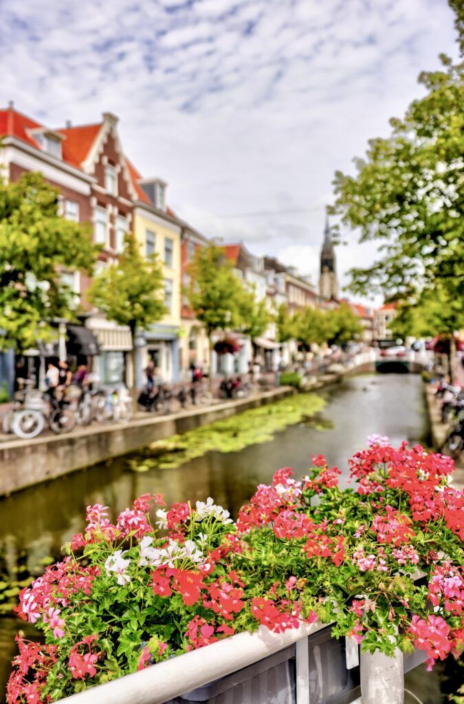cafes along a canal in Delft with flowers in the foreground