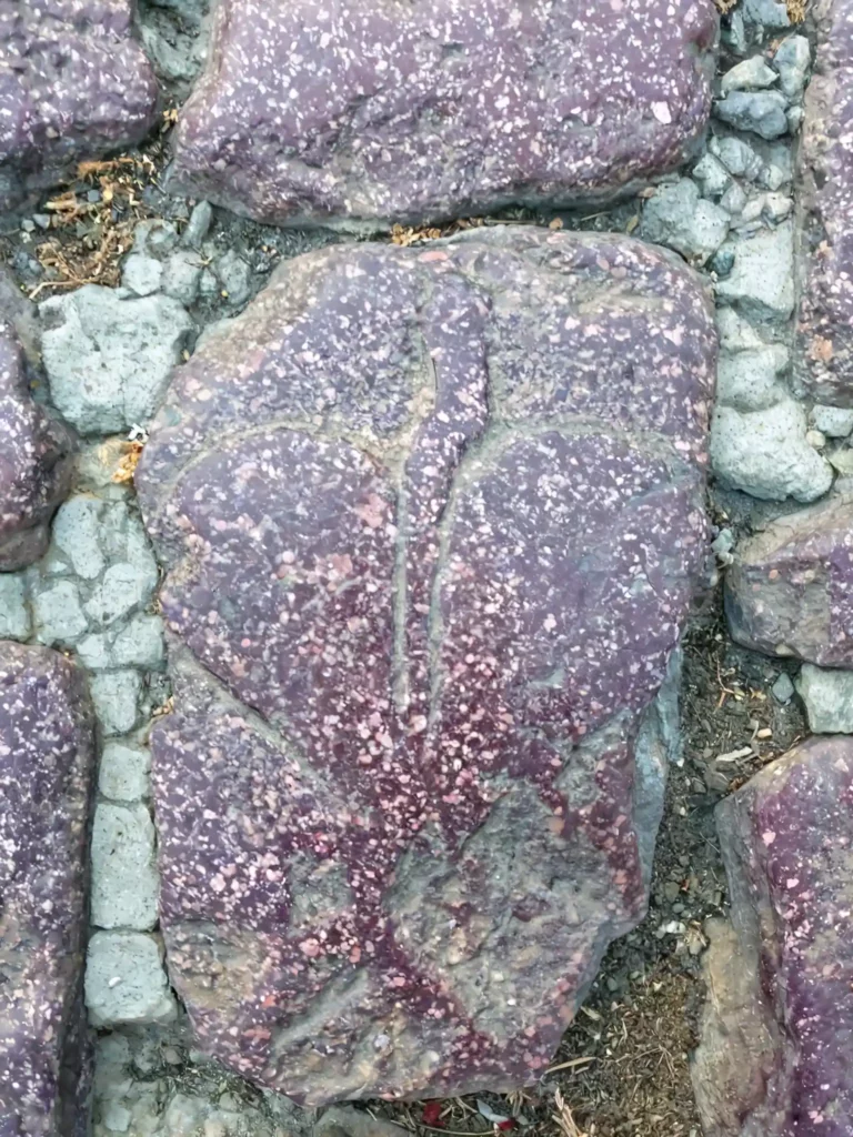 heart craving  in the square