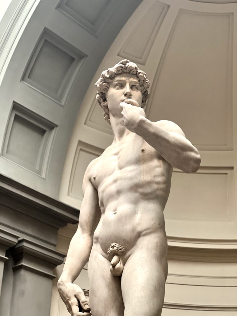 Michelangleo's David in the Accademia Gallery