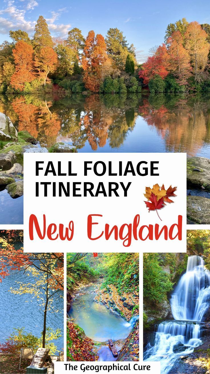 Pinterest pin graphic for fall foliage in New England