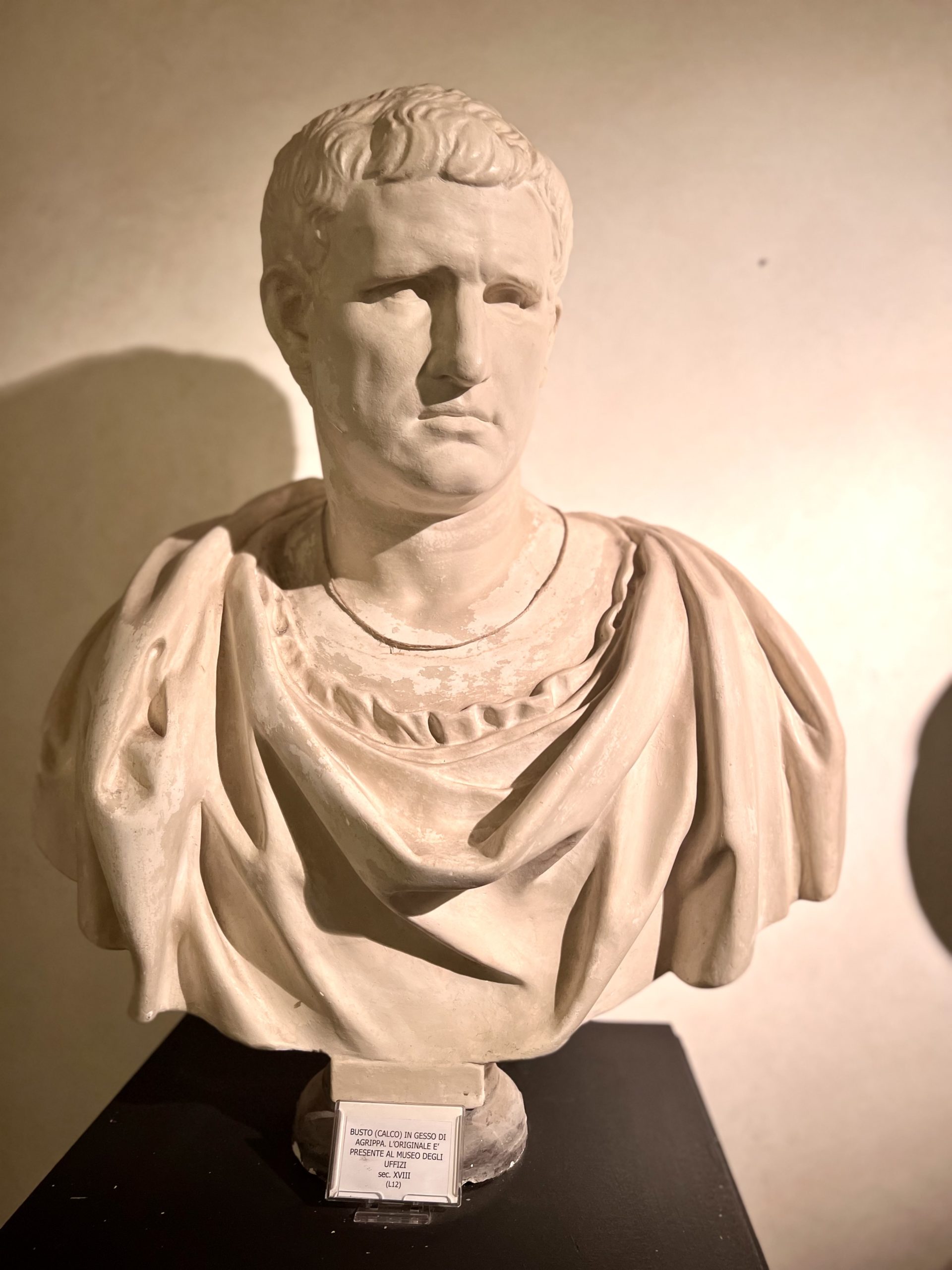bust of Agrippa