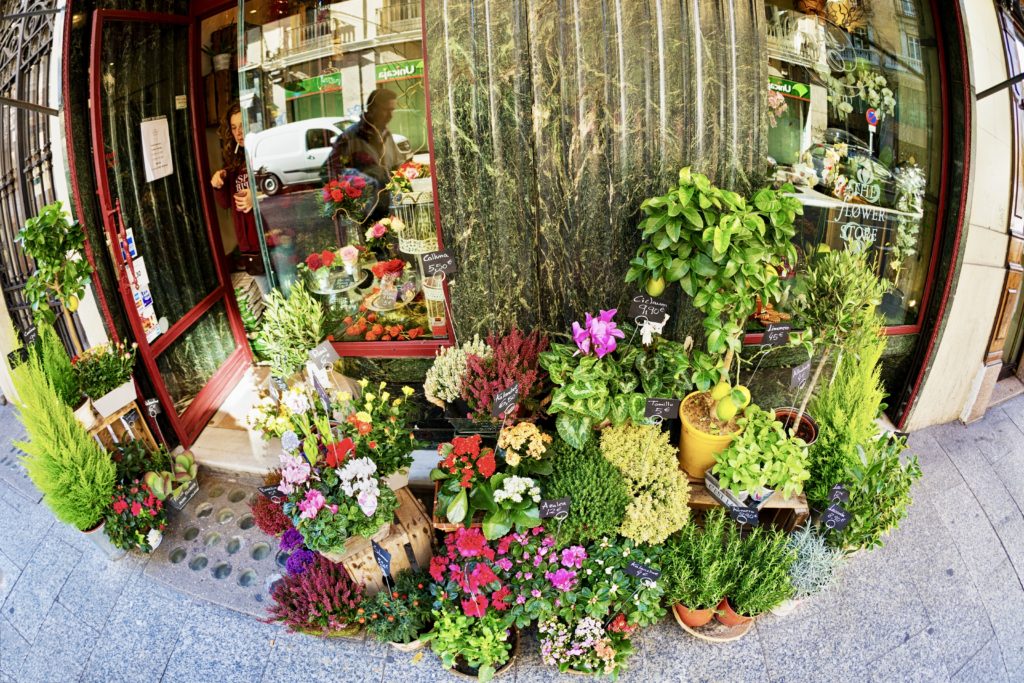 look at this flower shop in the neighborhood of Chueca 