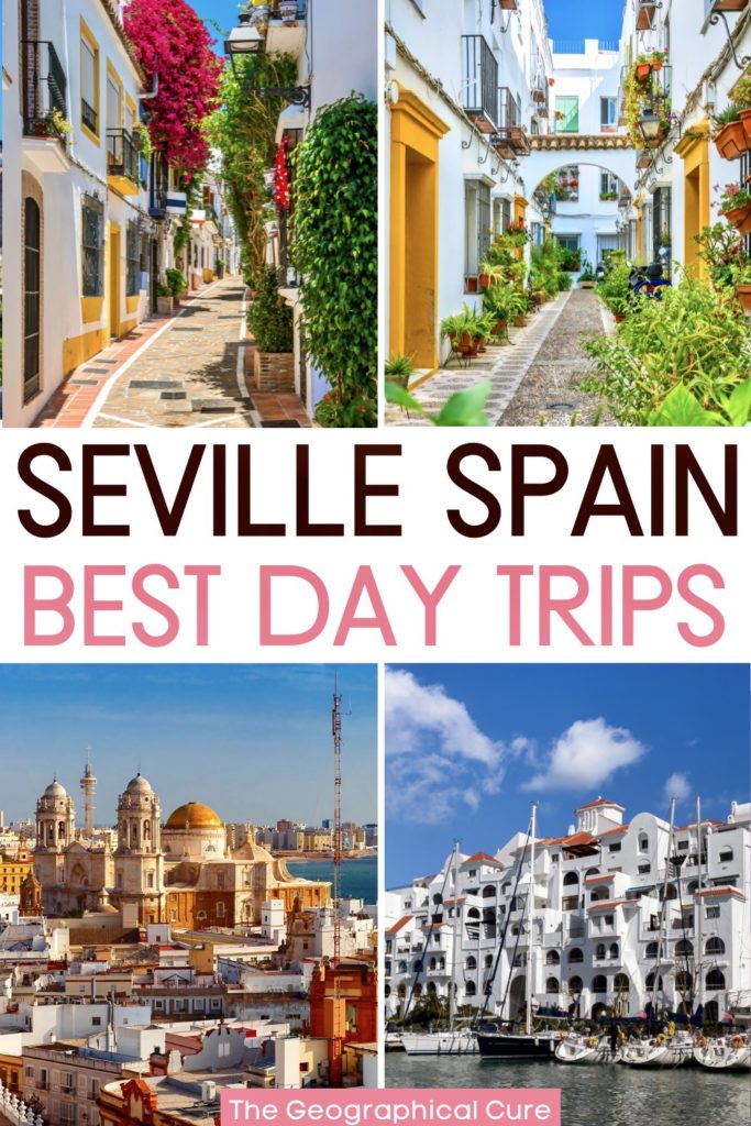 Pinterest pin for best day trips from Seville