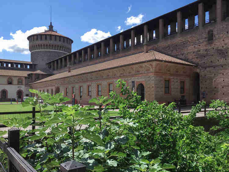 Castle Sforza