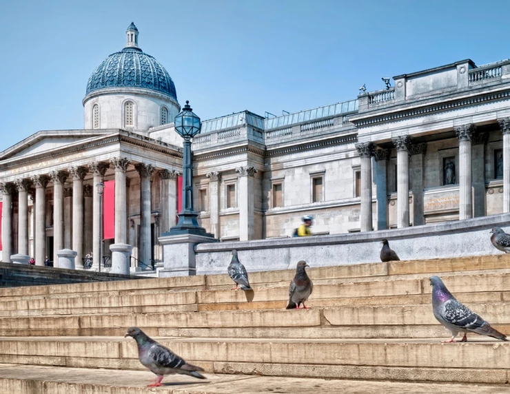 the National Gallery in London