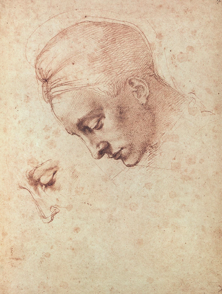 Study for the Head of Leda