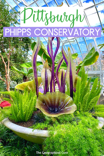 guide to Phipps Conservatory, everything to see and do