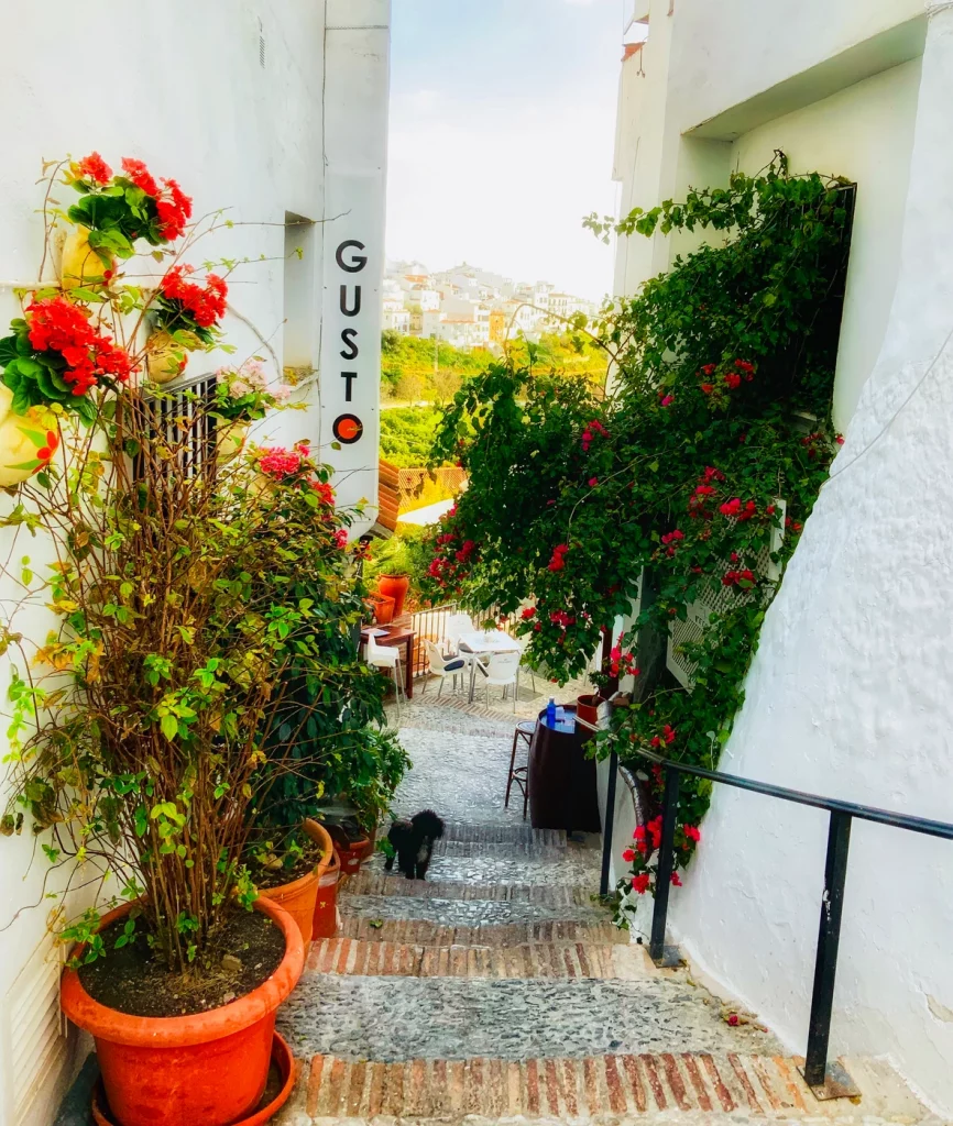 potted plants near Restaurant Gusto