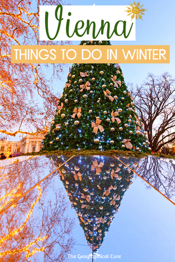 best things to do in Vienna in the winter