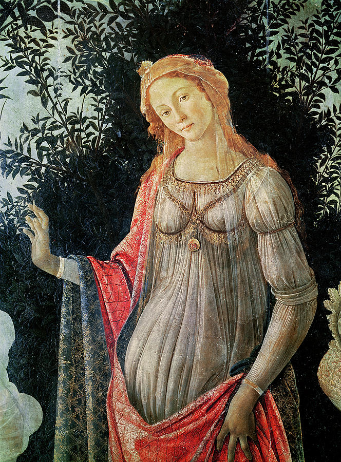Venus in Botticelli's Primavera