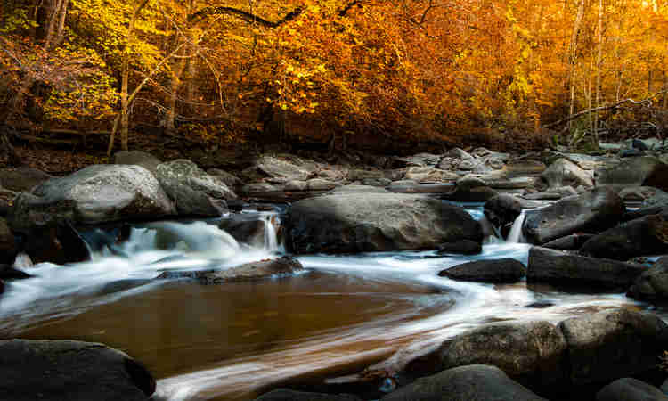 Rock Creek Park, one of the most beautiful places for fall foliage in the Washington D.C. area