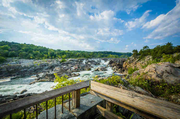 rapids along the C&O Canal