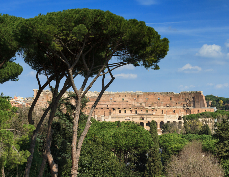 view of the Colosseum from Palatine Hill