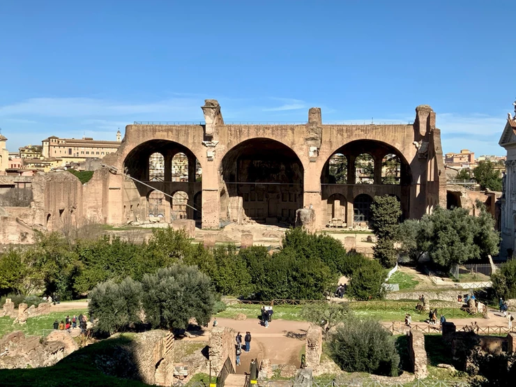 view of the Basilica of Maxentius in the Roman Forum from Palatine Hill