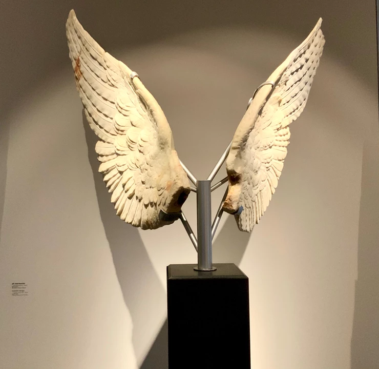 Wings of Victory in the Palatine Museum