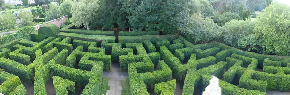 Hampton Court Palace maze