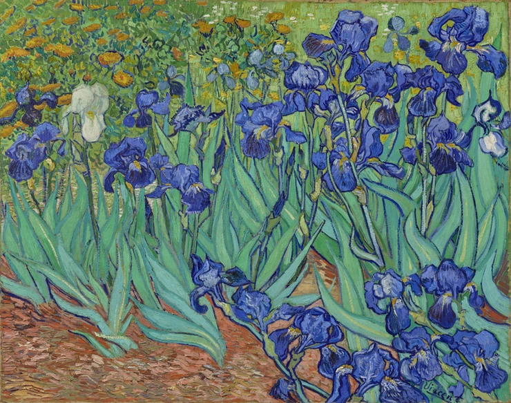 Van Gogh, Irises, 1889