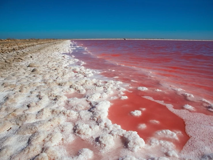 Salin d’Aigues-Mortes, a pink salt flat in the Camargue created by algae