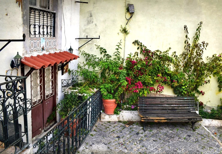 house on the cobbled streets of Alfama, with bougainvillea vine