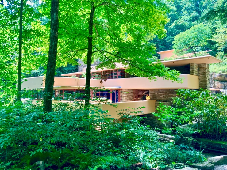 the first view of Fallingwater on your tour