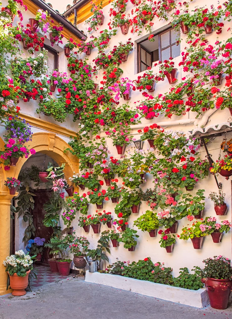 one of the famous patios of Cordoba