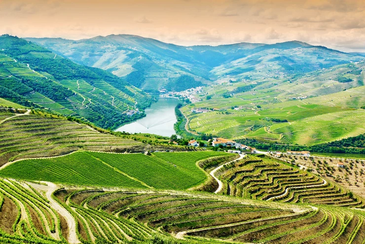 vineyards in the Douro Valley, a must visit destination with 10 days in Portugal