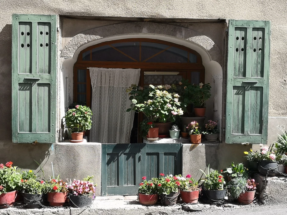classic shutters and flower pots in Provence