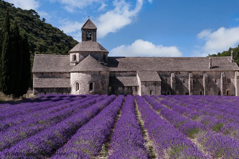 Abbey Notre-Dame de Senaque in Provence