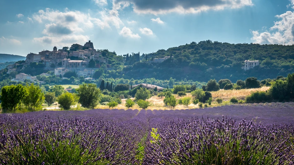 the hilltop village of Menerbes in July when the lavender is blooming