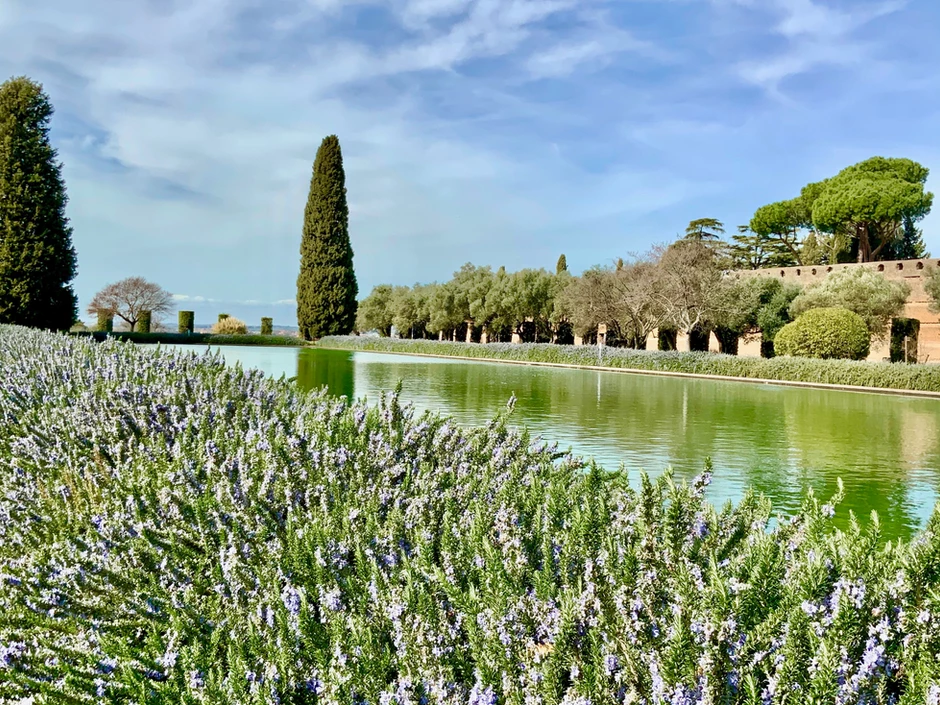 the Poecile of Hadrian's Villa with rosemary blooming in late February