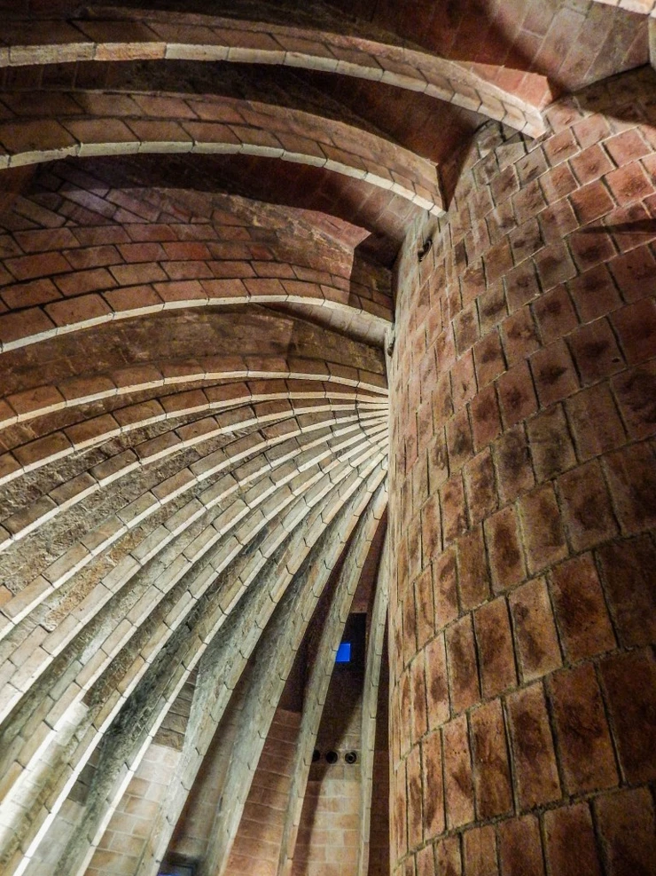 the catanery ribs in the vaulted attic, which rather palm tree-ish as if in a great cathedral