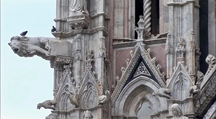 gargoyles and birds on Siena Cathedral