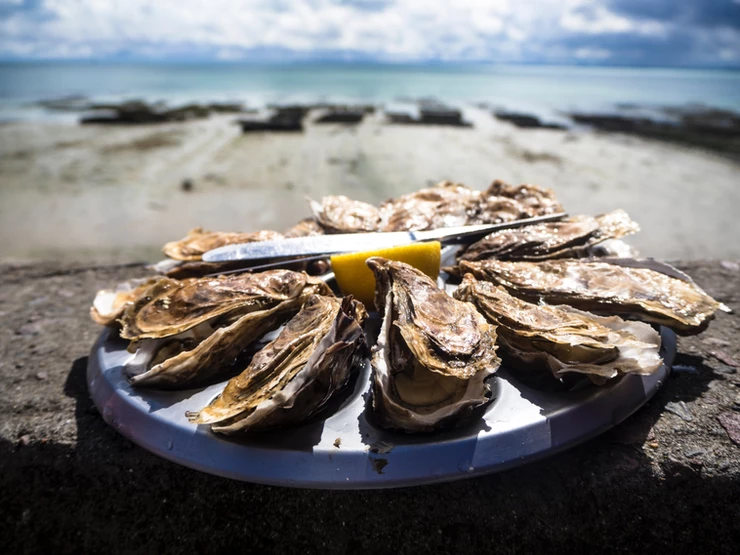 oysters from Cancale, the oyster capitol of Brittany France