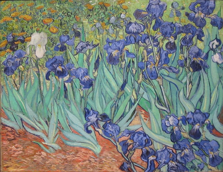 Van Gogh, Irises, 1889 -- at the Getty Museum
