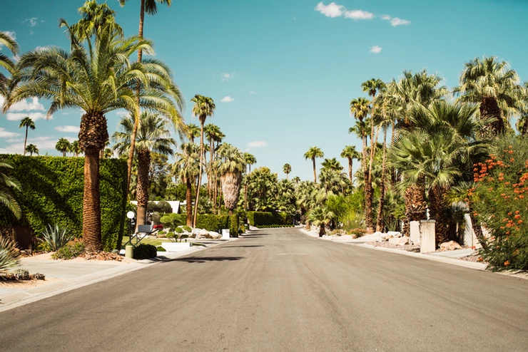 street in Palm Springs