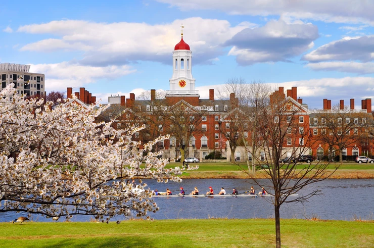 the Harvard campus in spring
