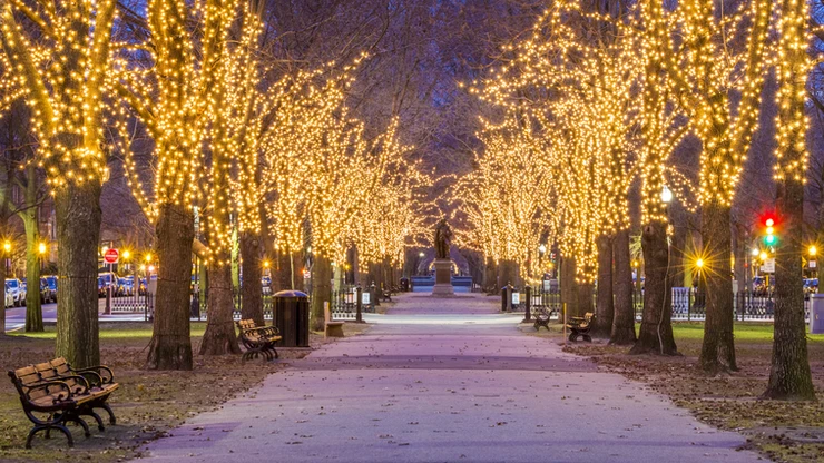 Christmas lights in Boston Common