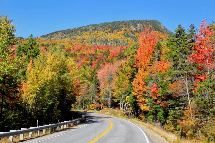 fall foliage along Kancamagus Highway in NH