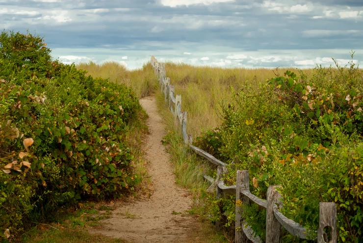 The pathway to the Siasconset beach, Nantucket island MA