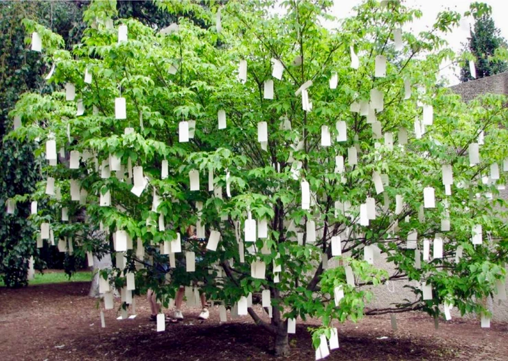 Yoko Ono, Wish Tree, 2007