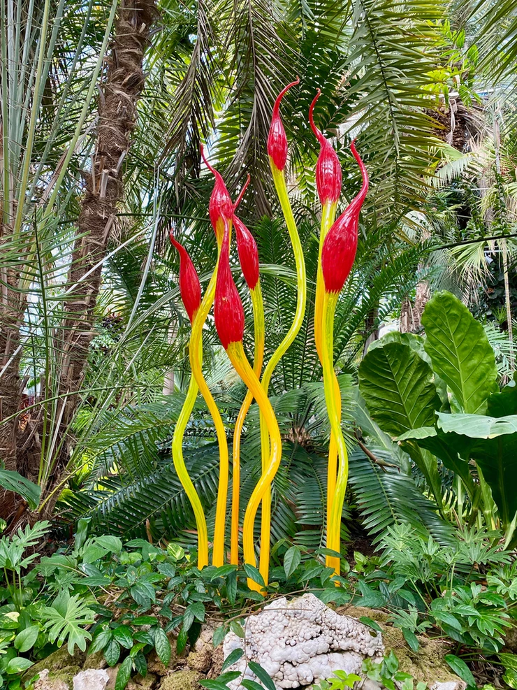 Dale Chihuly, Paintbrushes, 2007 at the Phipps -- in the Palm Court