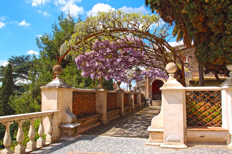 lovely pergola with wisteria at Villa d'Este