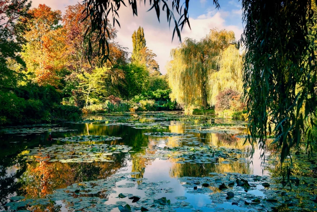 Monet's water garden